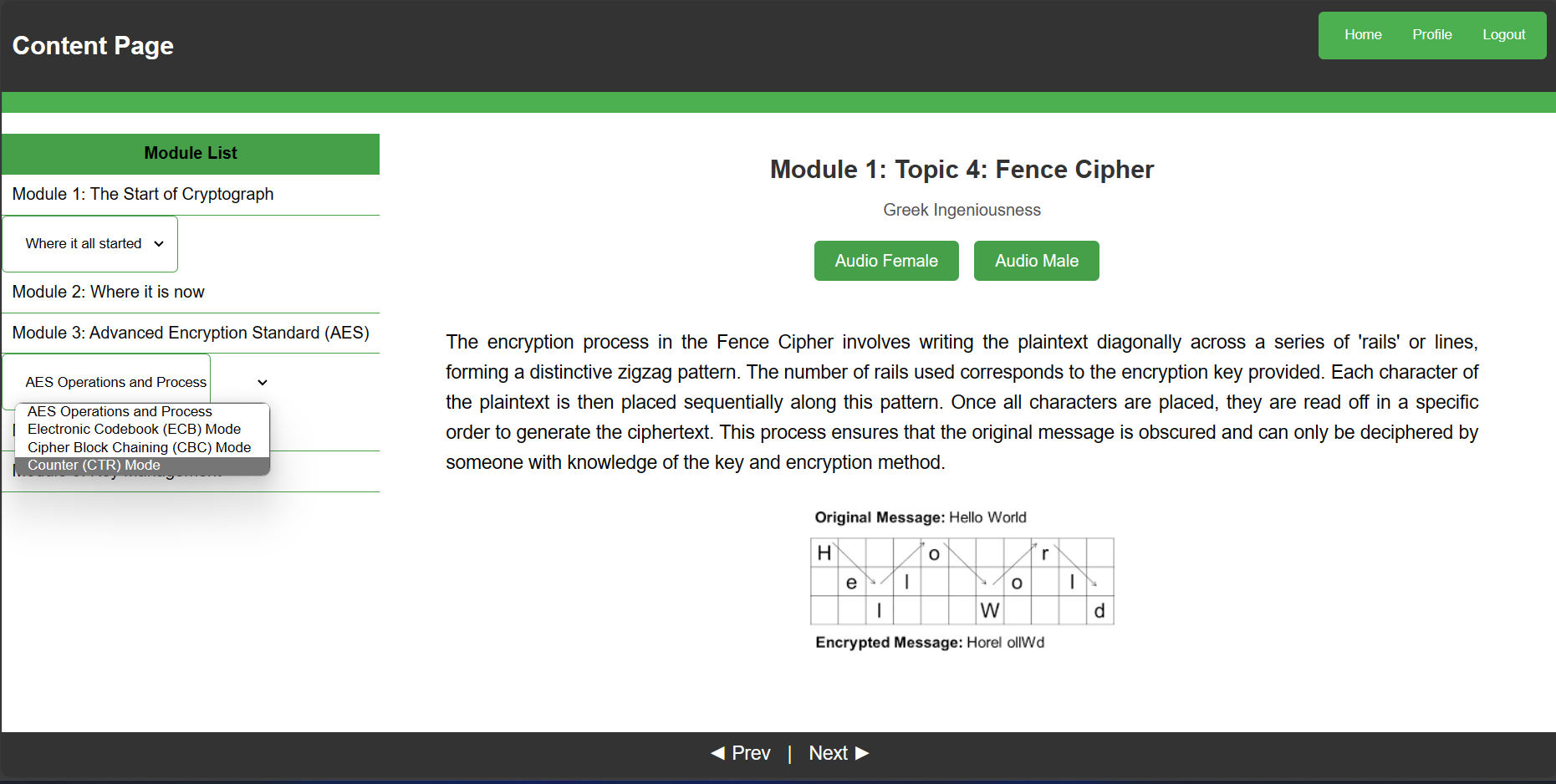 CipherCraft, Module 1, Topic 4 - Rail Fence
