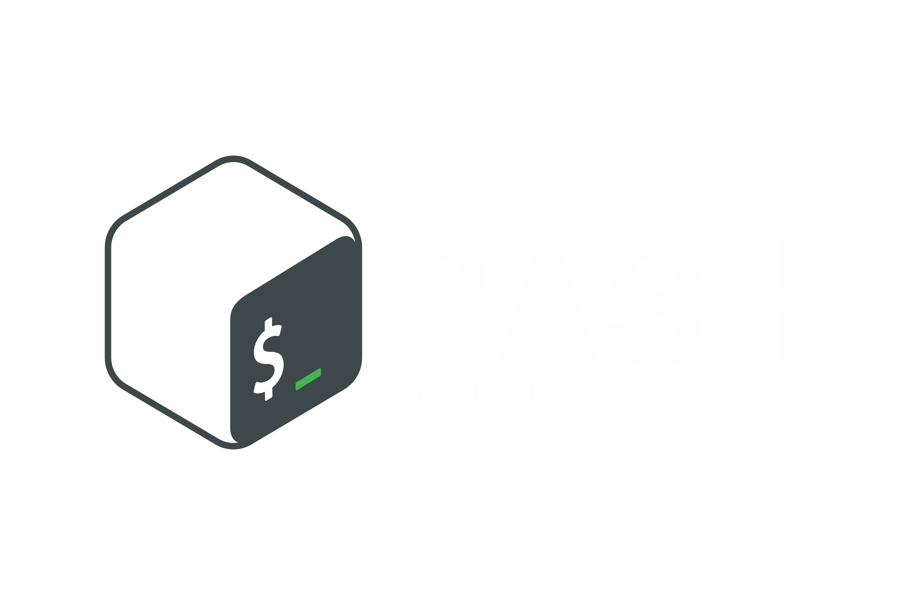 Bash